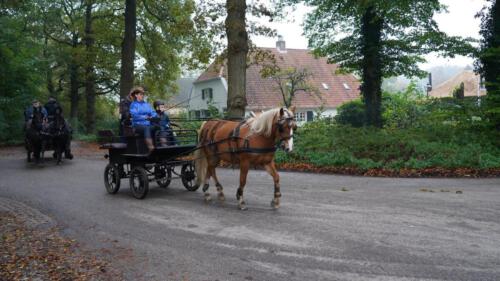 247417461_881078782597336_6413698539318720047_n_1500