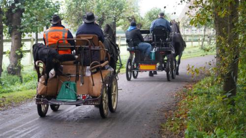 247436017_881076575930890_7375850148071726500_n_1500